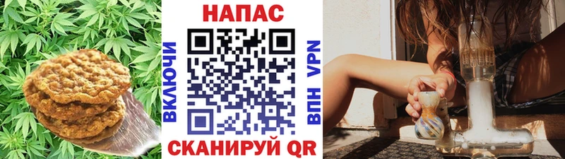 Cannafood конопля  дарнет шоп  Фатеж 