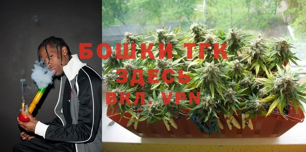 трава Аркадак