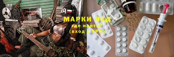 spice Новодвинск